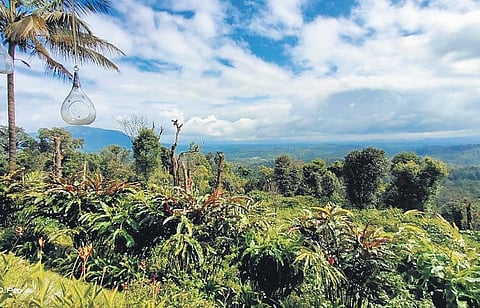 Kodagu hill town. (File photo)