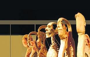 The exhibits will be displayed in a 2.5-lakh sq.ft area in what is being pitted as Asia’s first and largest curated science festival, the Global Science Festival of Kerala.
