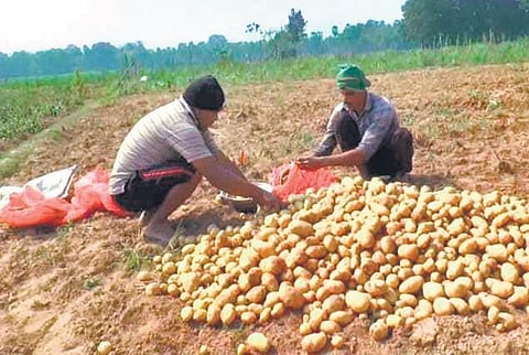 Image used for representational purposes only (Photo | Express))