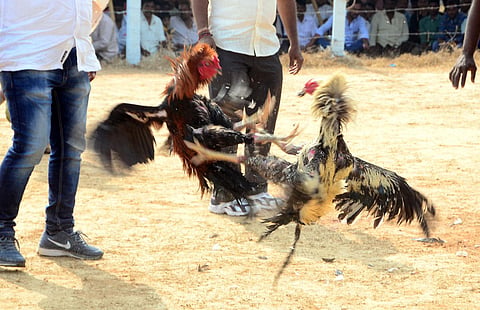 Image used for representational purposes. (File photo)