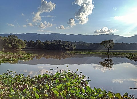Image used for representative purpose only. (File photo | EPS)