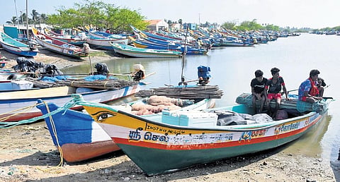 Tar balls were found in Pulicat Lake  a few days after the oil spill in Ennore Creek. (Photo | D Sampath Kumar, EPS)