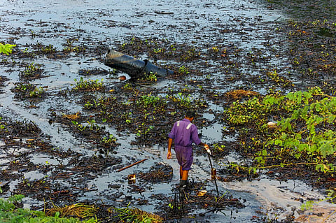 A worker cleans after an oil spill in the Bay of Bengal off the Ennore Creek area in the aftermath of Cyclone Michaung, near Chennai on Tuesday, December 12, 2023. (File photo | PTI)