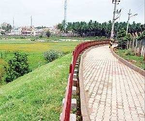 Image used for representation.