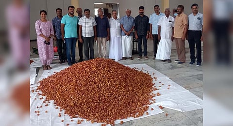 The Pollachi nutmeg farmer producer company organized the sales of nutmeg mace in the Kottur MalayandiPattinam. (Photo | Express)