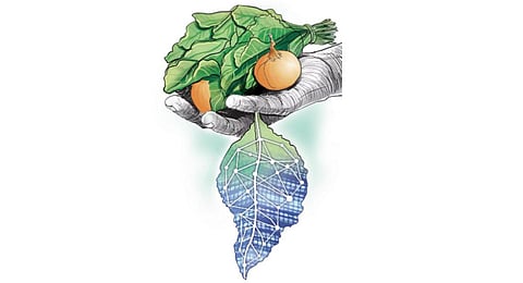 Rs 10-crore Boost to agri infra in Palnadu district of AP