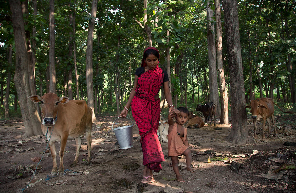Rural women from 31 UP districts accomplish Rs 5000-crore dairy business