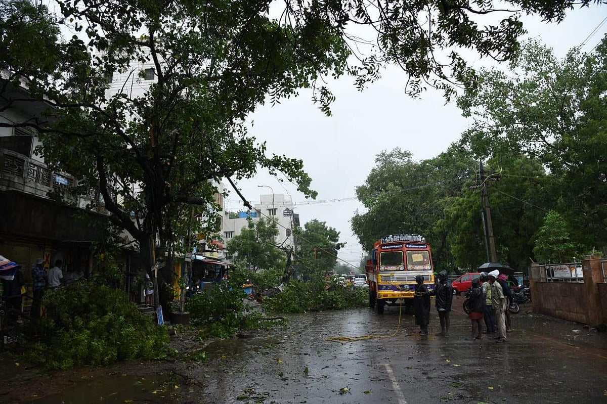 Cyclone Gaja kills 13, leaves trail of destruction in Tamil Nadu