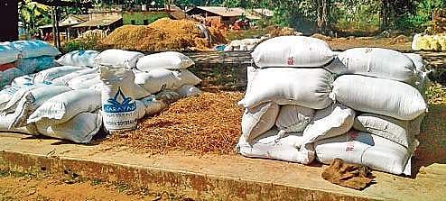 Paddy registration struggle surfaces in Koraput district
