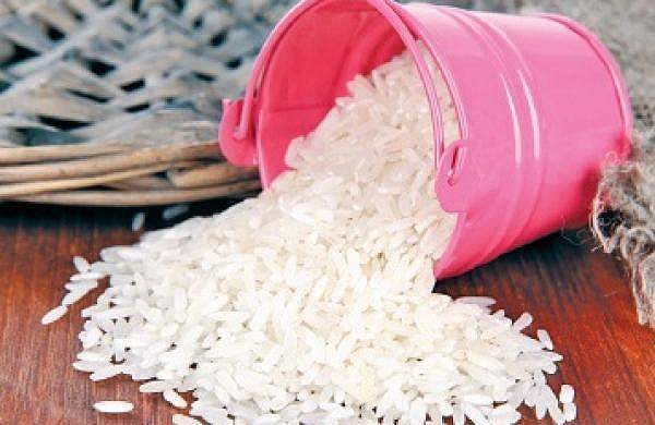 India achieves record food production for 2024-25 driven by significant ...