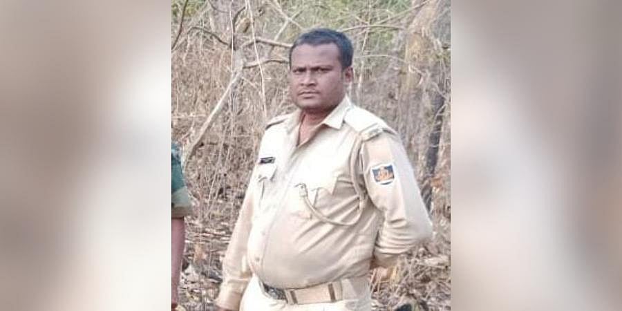 Forest official shot dead by poachers in Odisha's Similipal tiger ...