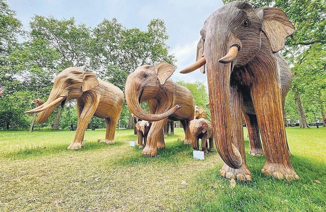 Addressing the elephant in the room
