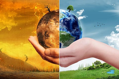 Eco Sikh organisation plants 400 sacred forests as part of climate action