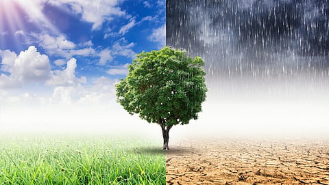 Climate Change