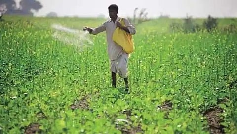 Nano Fertilizer 