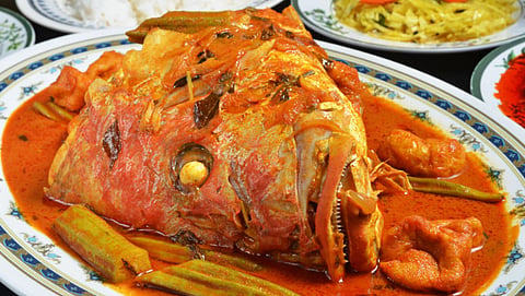 Eating Fish Head Benefits