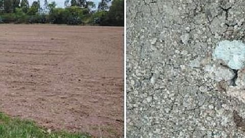 Soil Management 