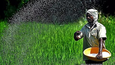 Fertilizer Subsidy