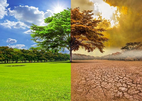 IPCC is the United Nations body for assessing the science related to climate change.
