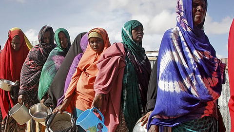 World Food Crisis