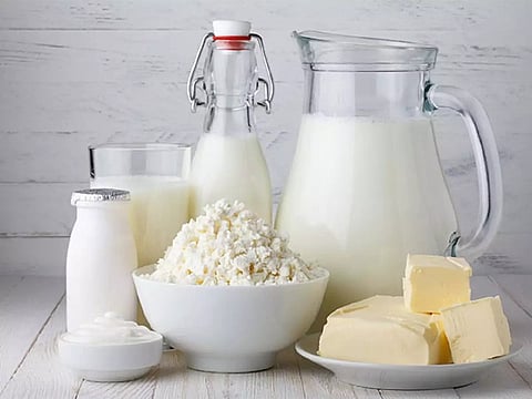 Dairy Products