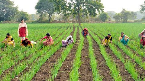Group Farming 