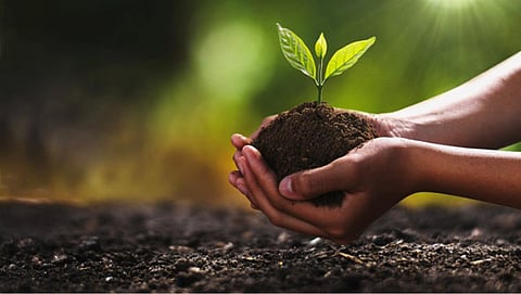 Natural Farming