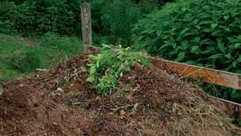 Compost Making 