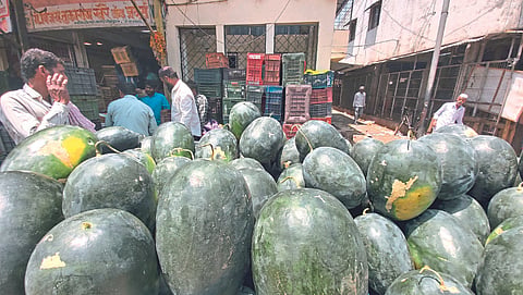Watermelon 