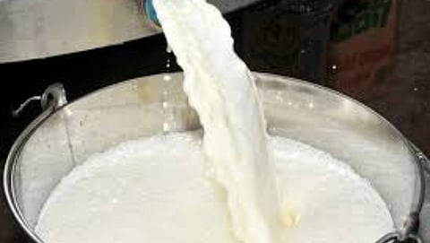 Adulterated Milk 