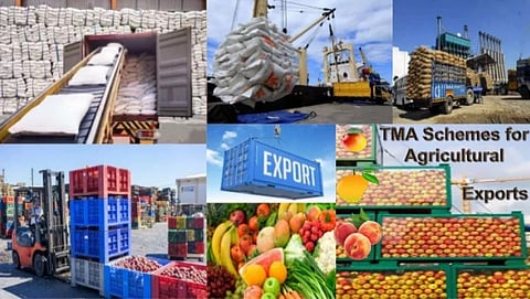 Agriculture Export