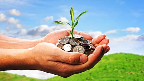 Agricultural Loans