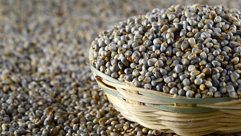 Nutritious Millets