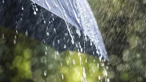 Rain Update