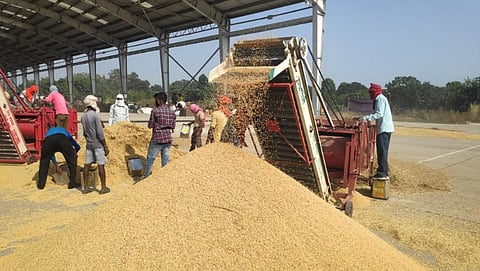 Paddy Procurement 