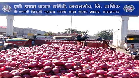 Onion Farmers