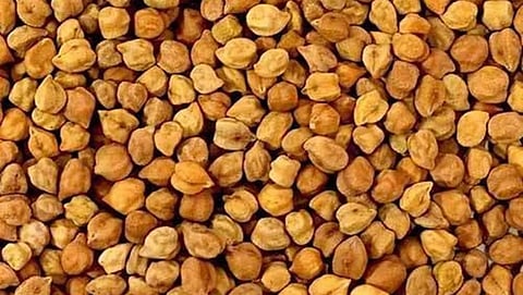 Chana Procurement 