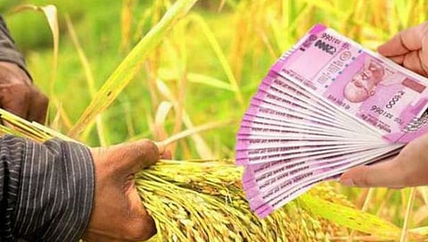 Crop Loan