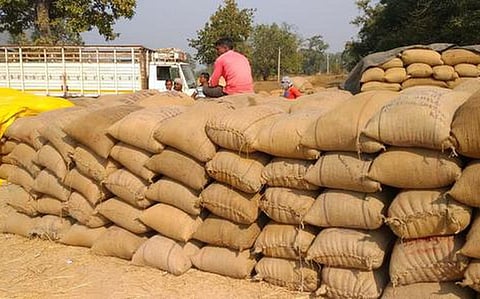 Paddy Procurement