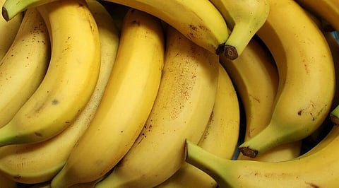 Indian banana and baby corn get market access in Canada