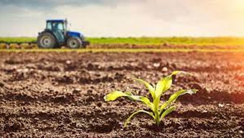 Crop Value Chain