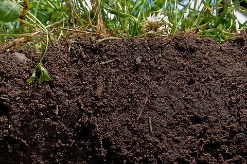 Natural Farming