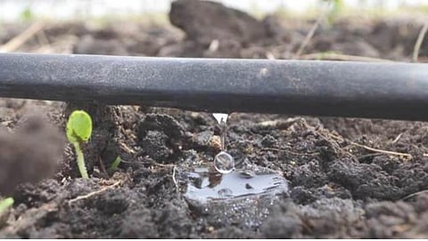 Micro Irrigation