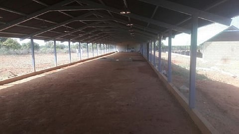 poultry shed cleaning with Lime 