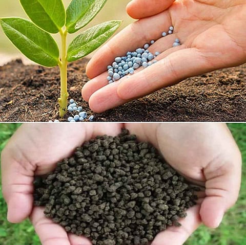 Karnataka Govt to Study Natural Farming 