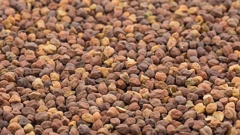 Chana