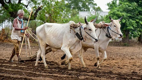 Indian Agriculture