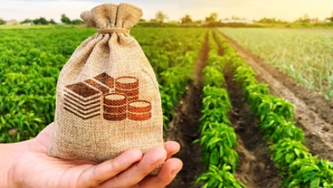 Agriculture Scheme 