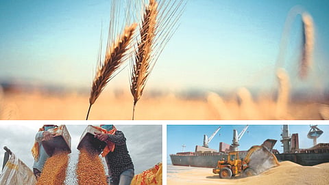 Wheat Export