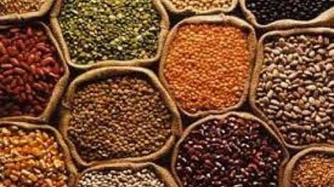 Pulses